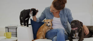 Frau auf Sofa mit Katze und zwei Hunden