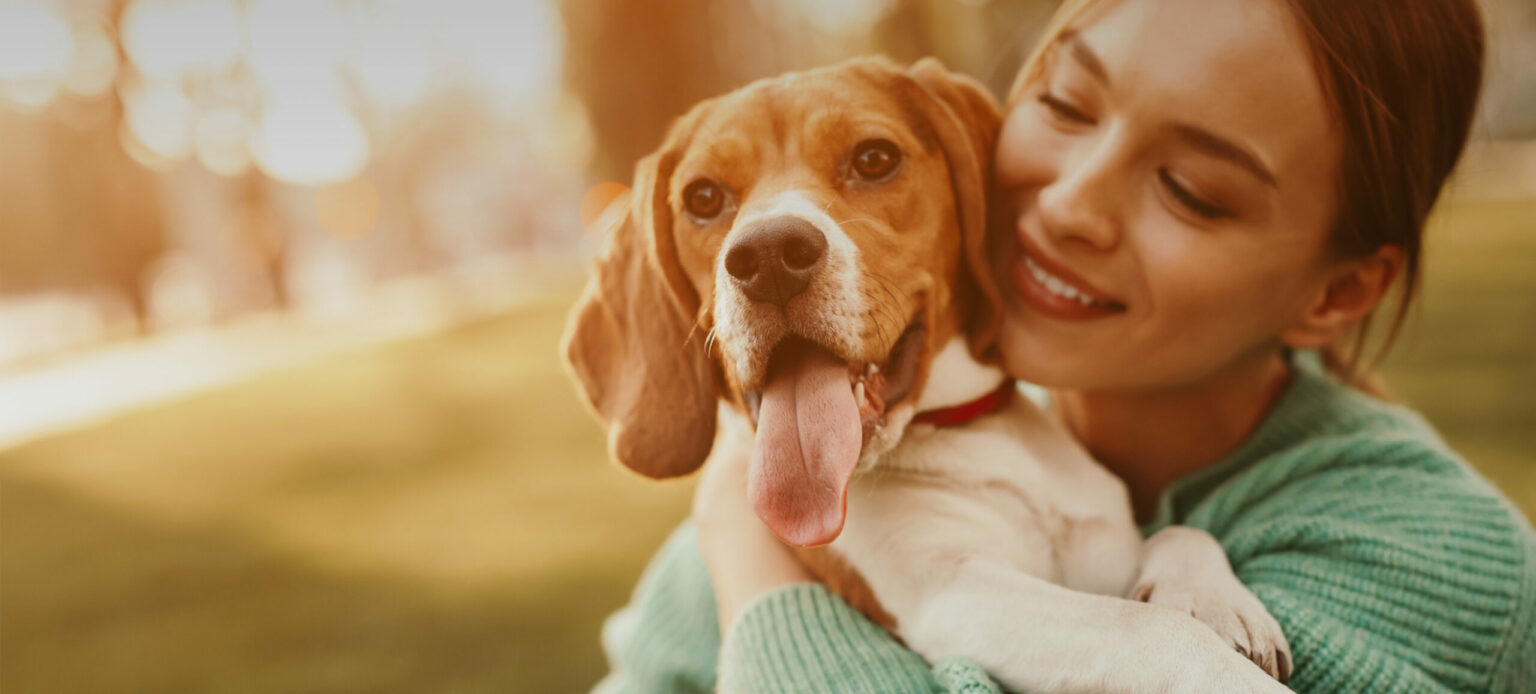 Hundeversicherung. Wir schützen Deinen Hund Uelzener