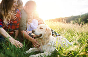 Familie mit Hund auf einer Wiese im Sonnenuntergang