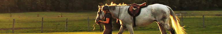 Eine stationäre Bereiterin führt ein gesatteltes, weißes Pferd am Zügel über eine Weide in einem malerischen Licht.