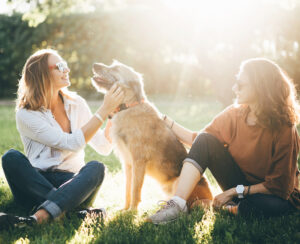 Zwei Frauen sitzen mit grauem Mischlingshund bei Sonne im Park