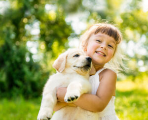 Kleines Kind hält goldenen Labradorwelpen auf einer Wiese im Arm