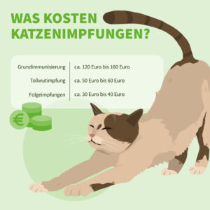 Infografik: Was kosten Katzenimpfungen?