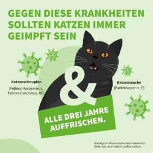 Infografik: Gegen diese Krankheiten sollten Katzen immer geimpft sein: Katzenschnupfen und Katzenseuche.