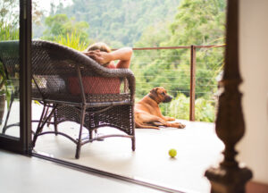 Hund auf Balkon im Urlaub