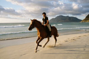 Reiterin auf Pferd am Meer