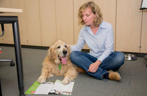Hund im Büro, geht das? Hund im Büro, geht das?