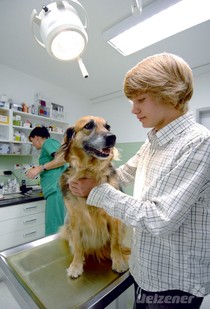 Entspannt zum Tierarzt Entspannt zum Tierarzt