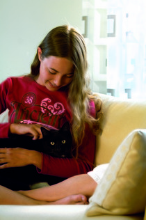 Das Katzenschnurren Das Katzenschnurren