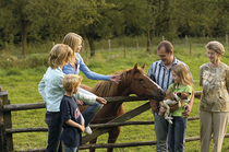 Wie Kinder den Umgang mit Pferden lernen