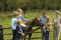 Wie Kinder den Umgang mit Pferden lernen Wie Kinder den Umgang mit Pferden lernen