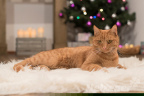 Das größte Geschenk Das größte Geschenk