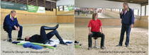 Bewegungslehre des Reitens Bewegungslehre des Reitens