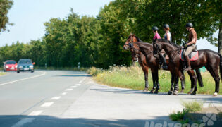 Drei Reiter stehen mit Pferden an einer Straße