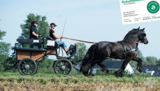 Ein schwarzes Oferd zieht eine Kutsche über einen Feldweg. Um in Deutschland eine Kutsche zu fahren, ist der Kutschführerschein pflicht.