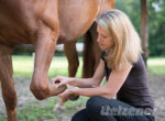 Eine Tierärztin überprüft die Gelenke des Pferdes.