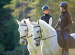 Zwei Frauen reiten auf ihren Pferden sie sind mit Schutzkleidung gegen einen Reitunfall geschützt.