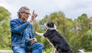 Ein Mann in blauer Jacke, trainiert seinen schwarz weißen Hund neue Kommandos an der frischen Luft.