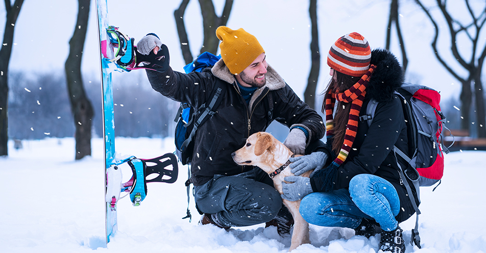 Winterurlaub mit Hund Tipps zur erfolgreichen Planung Uelzener