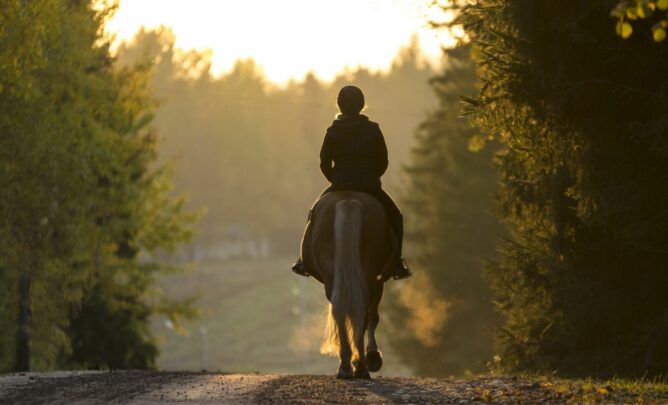 Eine Reiterin, ist in der Dämmerung unterwegs, auch beim Reiten ist die richtige Beleuchtung wichtig.