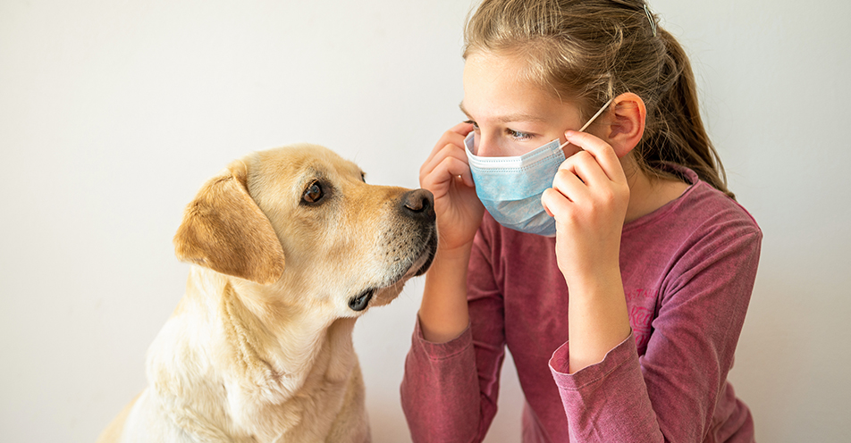 Mein Hund und das Coronavirus Uelzener