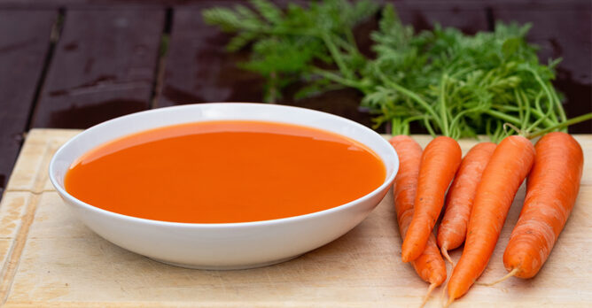 Morosche Karottensuppe für Deinen Hund Uelzener