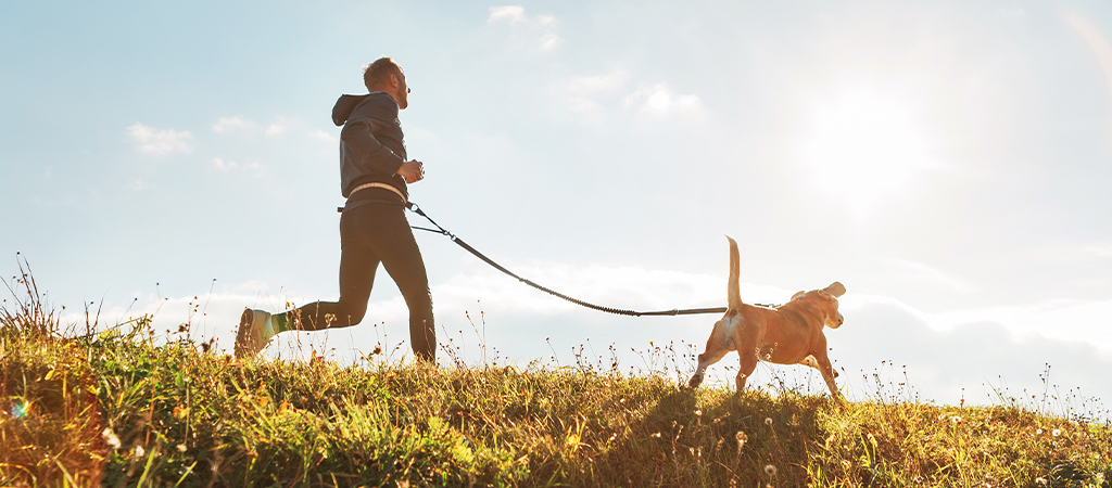 Mann und Hund beim Joggen auf einer grünen Wiese bei Sonne und blauem Himmel, sie sind gemeinsam aktiv.