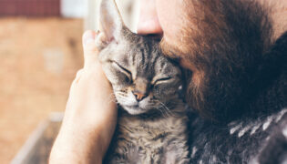 Katze kuschelt mit bärtigem Mann, sie zeigt ihm seine Zuneigung.