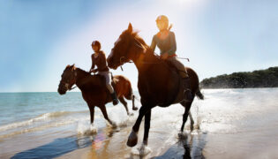 2 Frauen reiten mit Pferd am Strand.