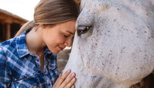 Pferd vertraut Reiterin sie stehen Stirn an Stirn.