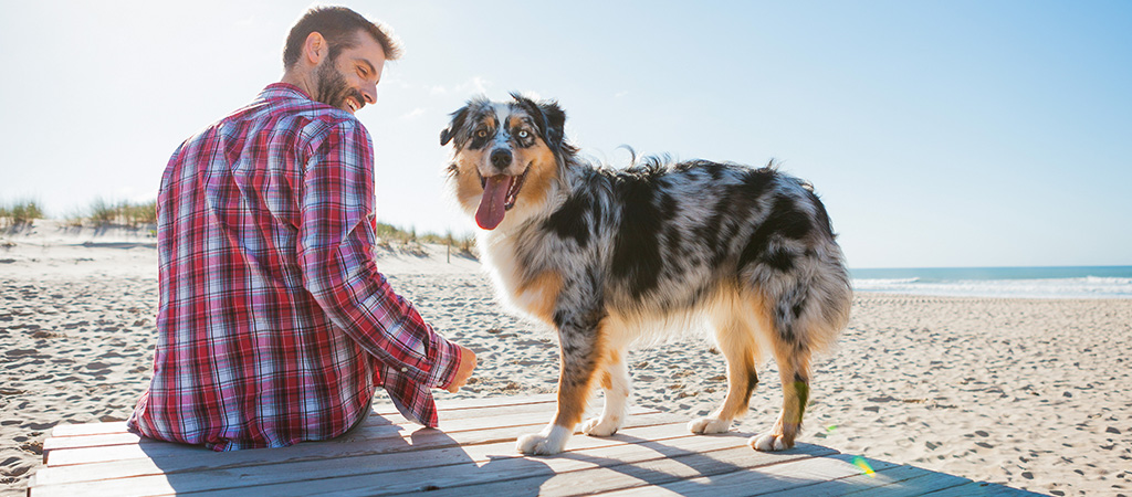 Mann in kariertem Hemd sitzt mit Hund am Strand unter blauem Himmel. Er macht seinen Urlaub gerne mit Hund.
