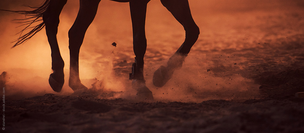 Pferdebeine auf Sand im Sonnenuntergang