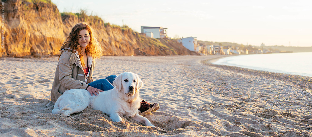 Frau sitzt mit Hund am Strand vor Dünen, sie besuchen gerne Hundestrände.