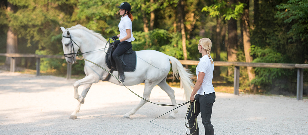 Reitlehrerin unterrichtet Reitschülerin auf weißem Pferd an der Longe, sie hat ihr Hobby zum Beruf gemacht.