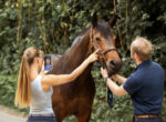 Eine Frau holt sich medizinische Beratung online für ihr Pferd per Telemedizin während ein Mann das Pferd am Saumzeug hält.