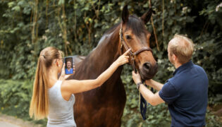 Eine Frau holt sich medizinische Beratung online für ihr Pferd per Telemedizin während ein Mann das Pferd am Saumzeug hält.
