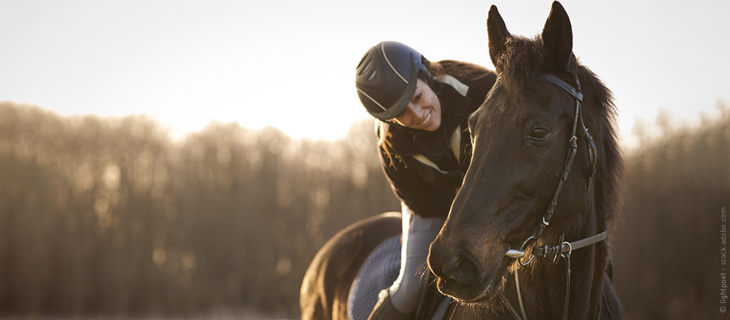 Reitende Frau beugt sich zum Pferd herunter: Richtig Pausen machen beim Pferdetraining ist wichtig.