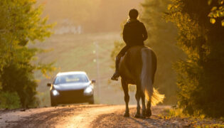 Reiterin und Pferd auf einer Straße mit entgegenkommendem Auto in der Abendsonne.