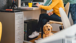 Hunde im Büro: Was gilt es zu beachten?