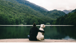 Frau alleine mit Hund am dunkelgrünen See. Wo bleibt der Hund bei einer Trennung?