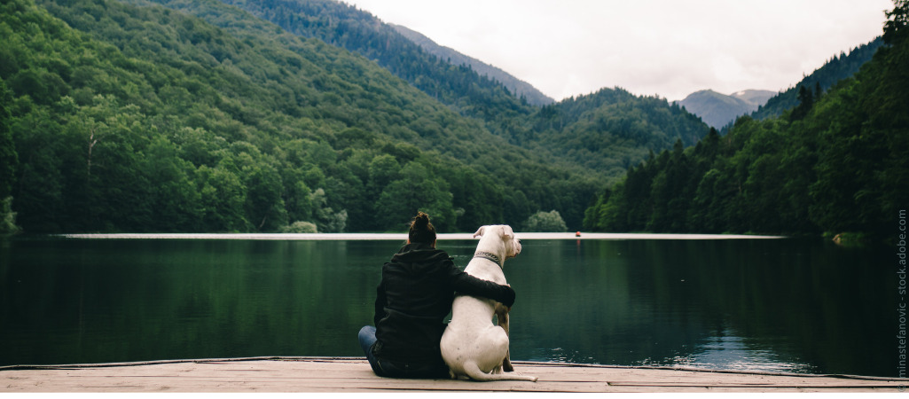 Frau alleine mit Hund am dunkelgrünen See. Wo bleibt der Hund bei einer Trennung?