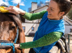 Existenzgründer-Rabatt ermöglicht es einer Selbstständigen sich hauptberuflich mit Pferden zu beschäftigen.