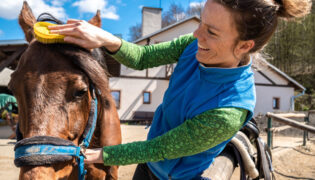 Existenzgründer-Rabatt ermöglicht es einer Selbstständigen sich hauptberuflich mit Pferden zu beschäftigen.