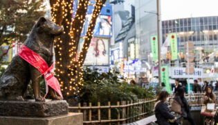 Hachiko-Statue in Japan. Das Leben des berühmten Hundes wurde verfilmt.