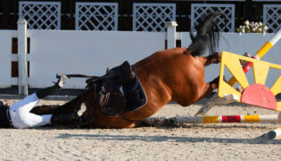 Reiterin fällt bei einem Reitunfall vom Pferd.