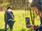 Social Media Managerin der Uelzener fotografiert einen Hund für die Tierheim-Aktion.