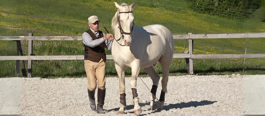 Peter Kreinberg bei der Handarbeit am Pferd.