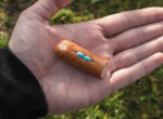 Giftköder für Hunde: Ein Stück Wurst mit Tabletten gespickt.
