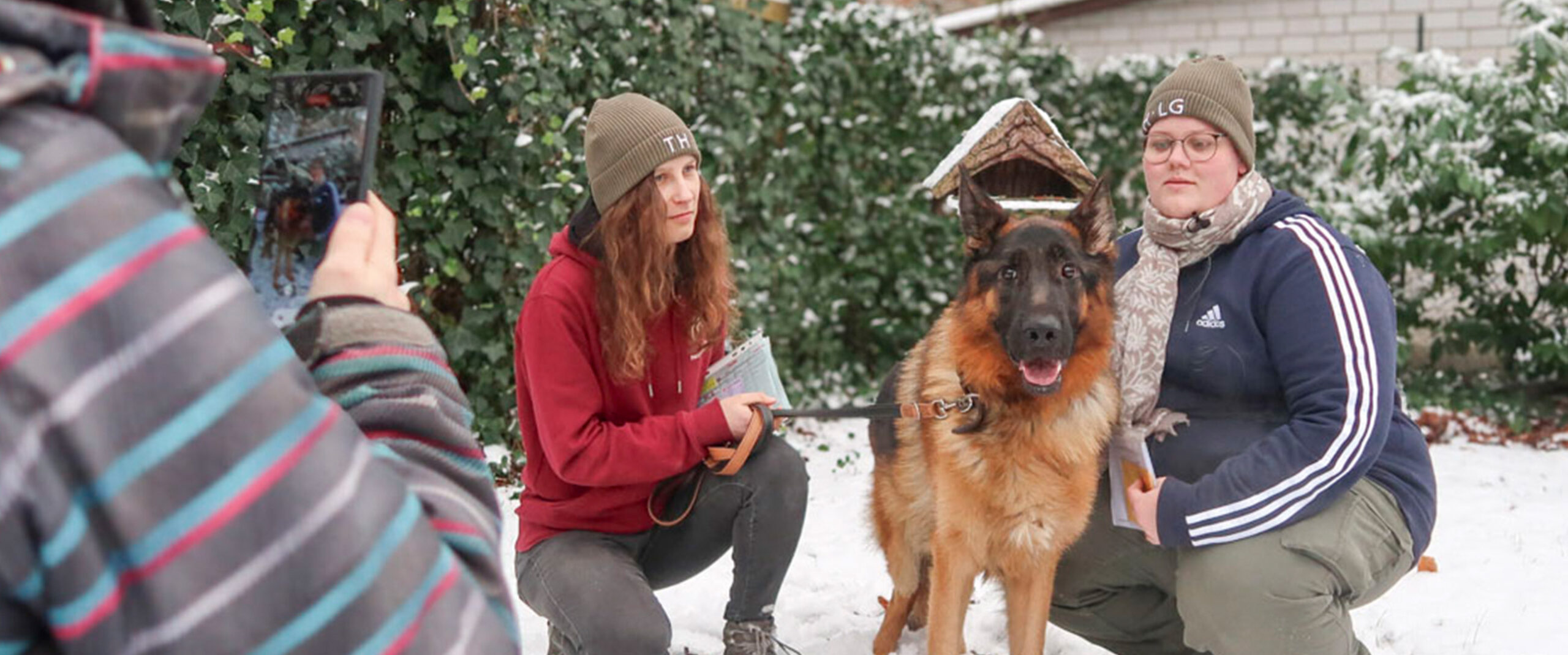Mitarbeiterinnen des Tierheim Lüneburgs stellen Schäferhund vor