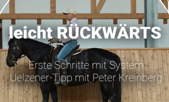 Peter Kreinberg auf Pferd. Zeigt Übung zum Rückwärtsausrichten.
